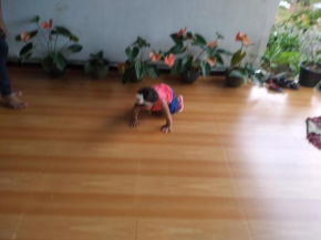 anju